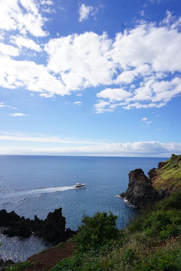 Freda House Daire Funchal Dış mekan fotoğraf