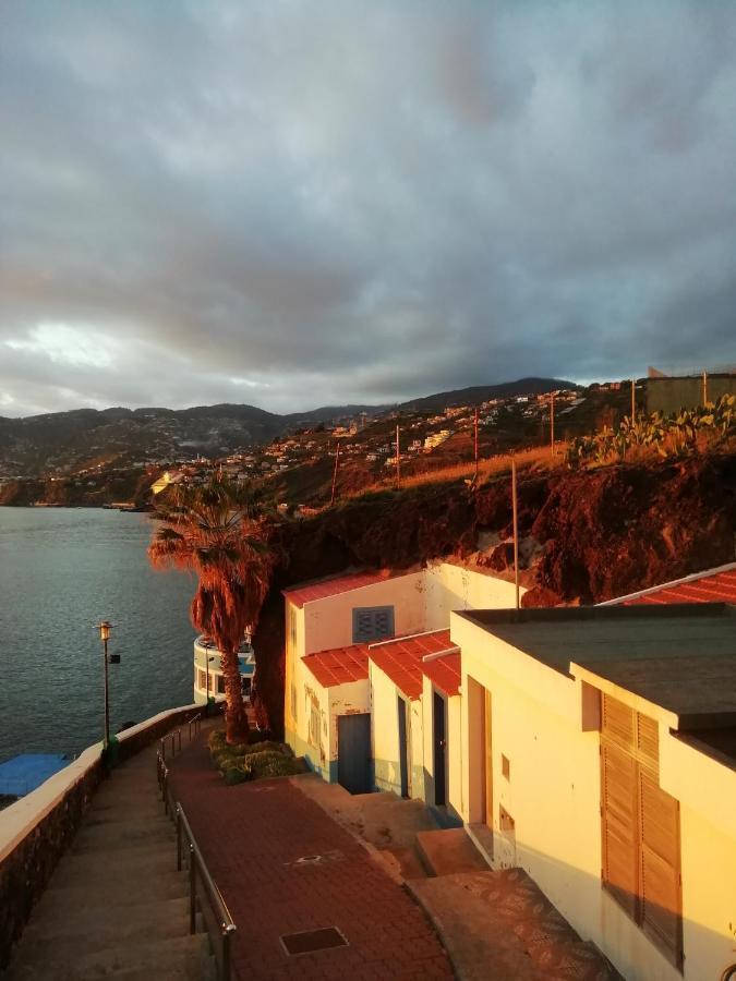 Freda House Daire Funchal Dış mekan fotoğraf